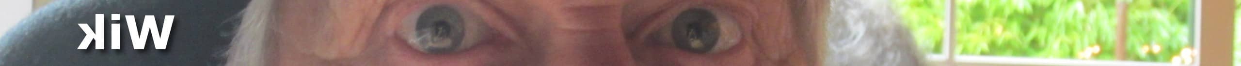Wik Pijper